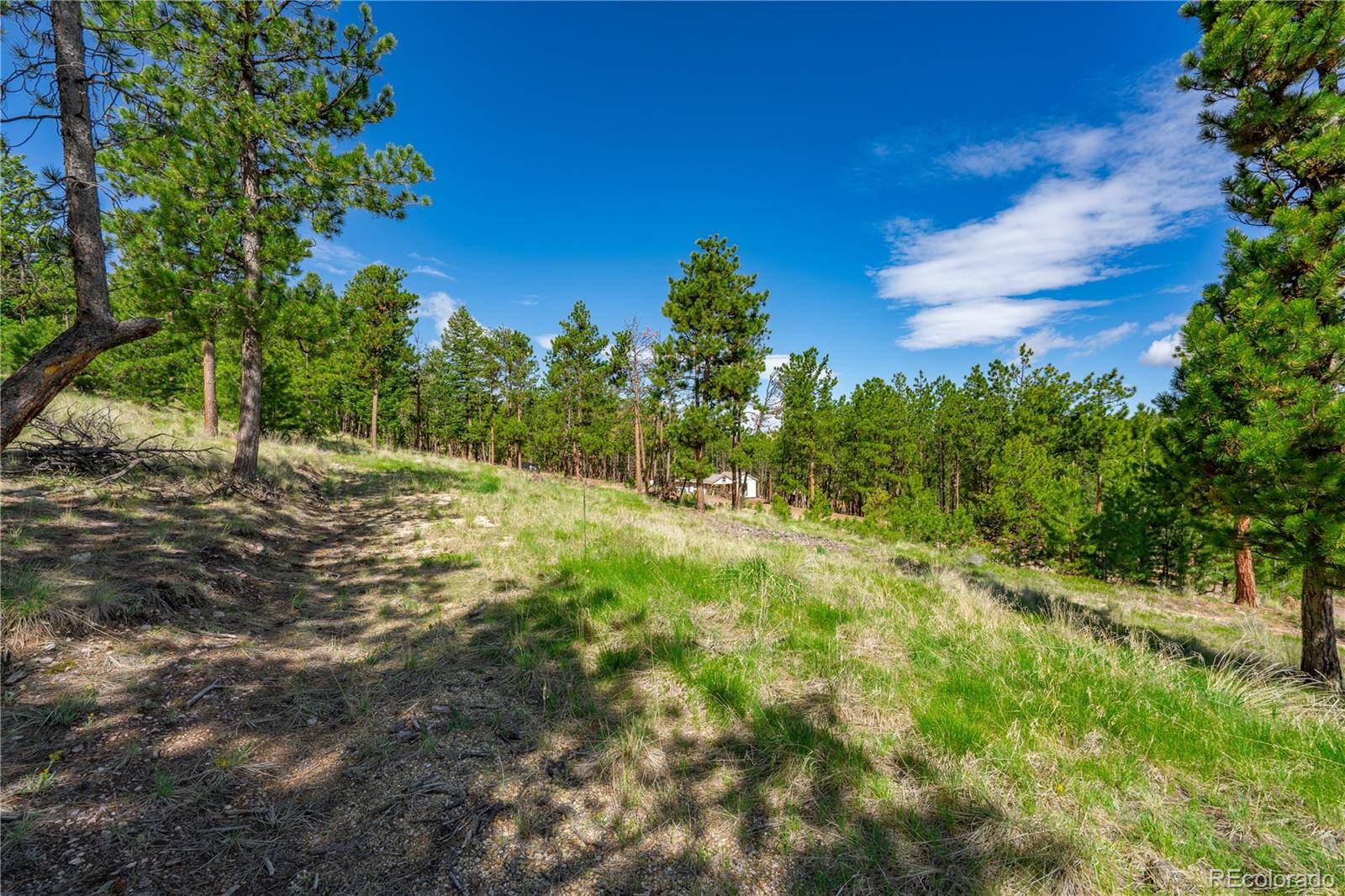 Westcliffe, CO 81252,88 Bull Domingo LN