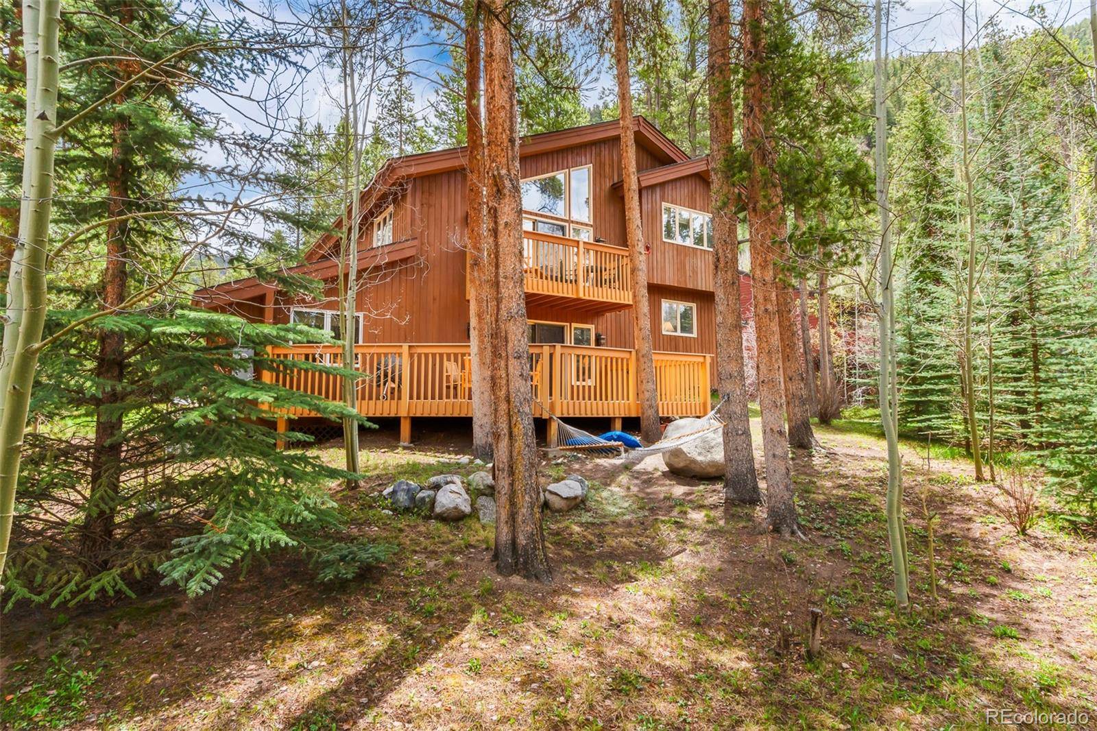 Dillon, CO 80435,21 Appaloosa CT