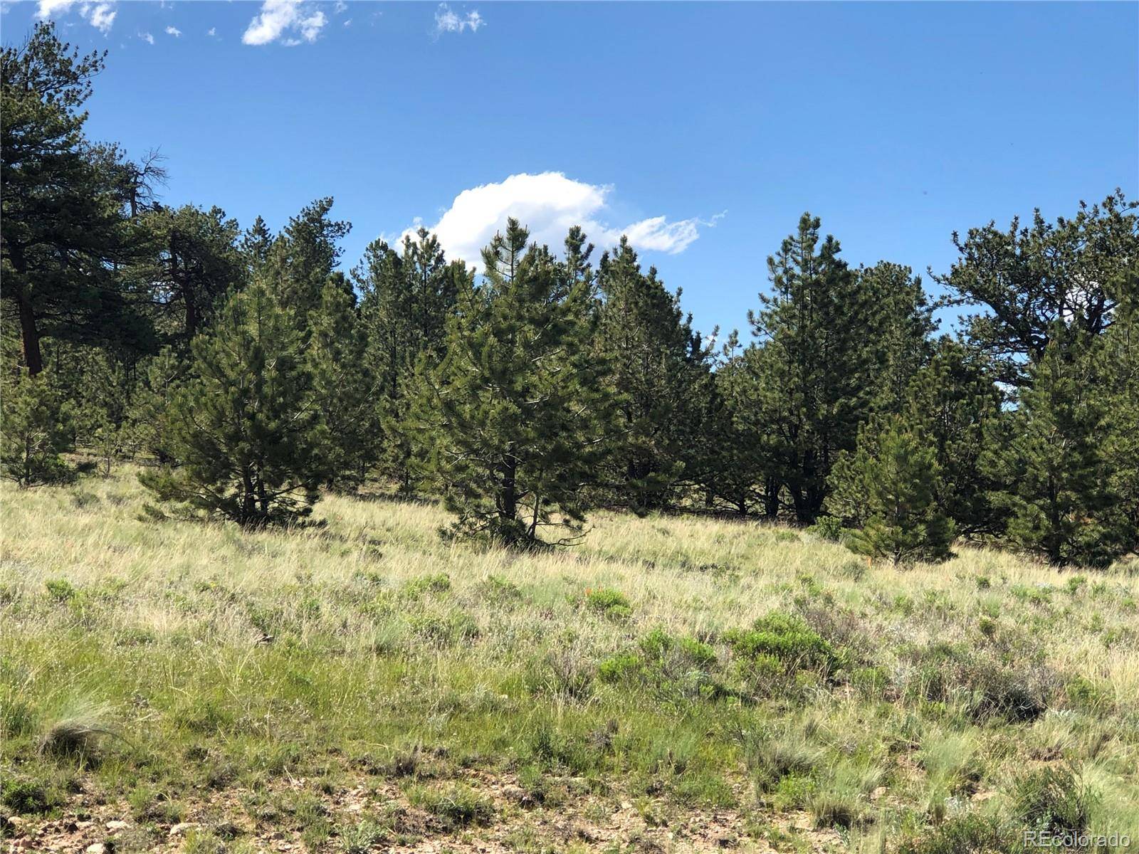 Hartsel, CO 80449,3467 Goldenberg Canyon RD