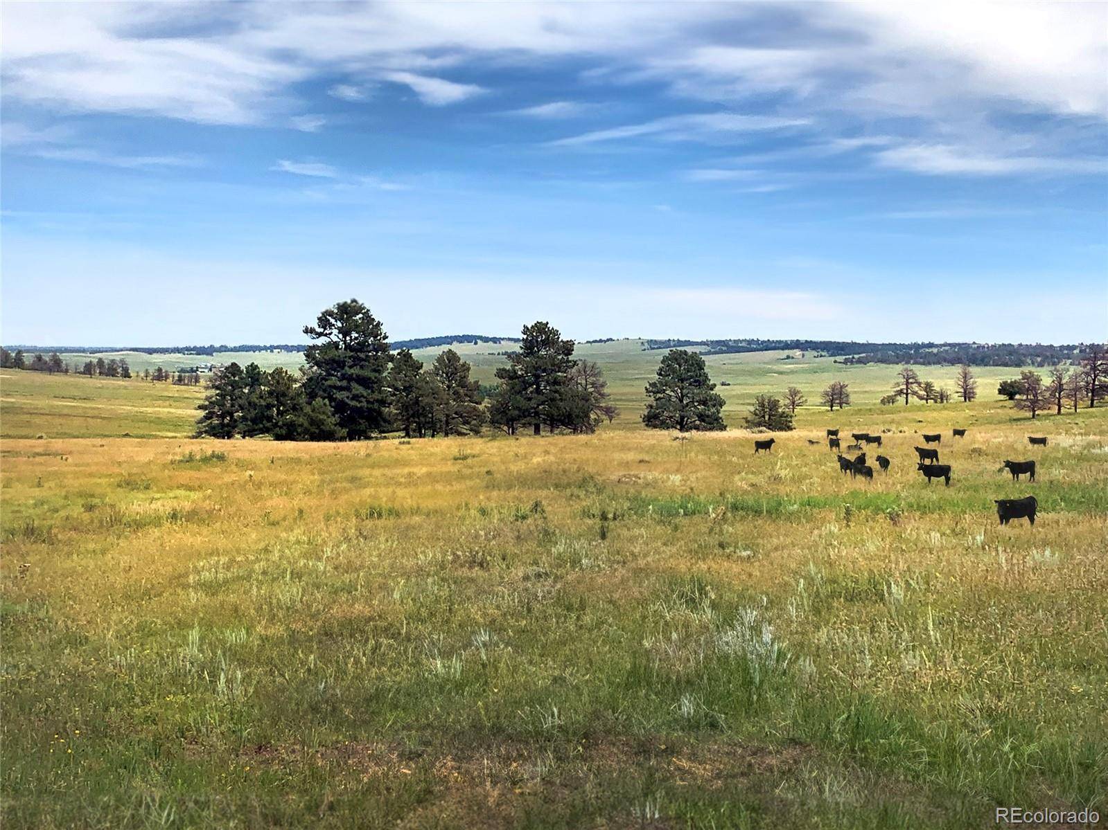 Kiowa, CO 80117,31350 County Road 91