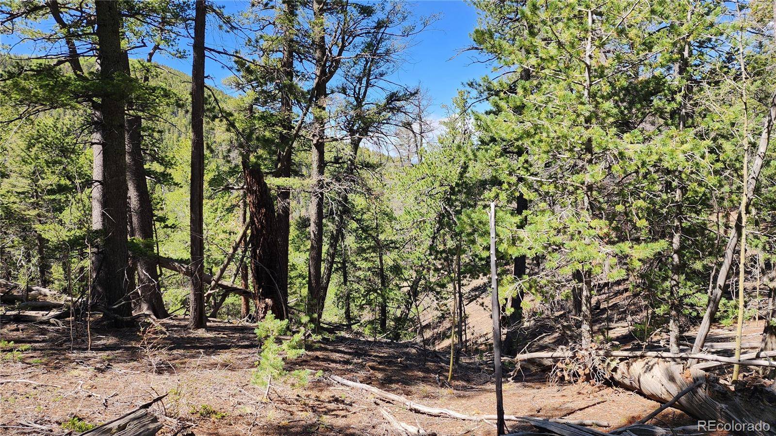 Fort Garland, CO 81133,6763 Kerrigan RD