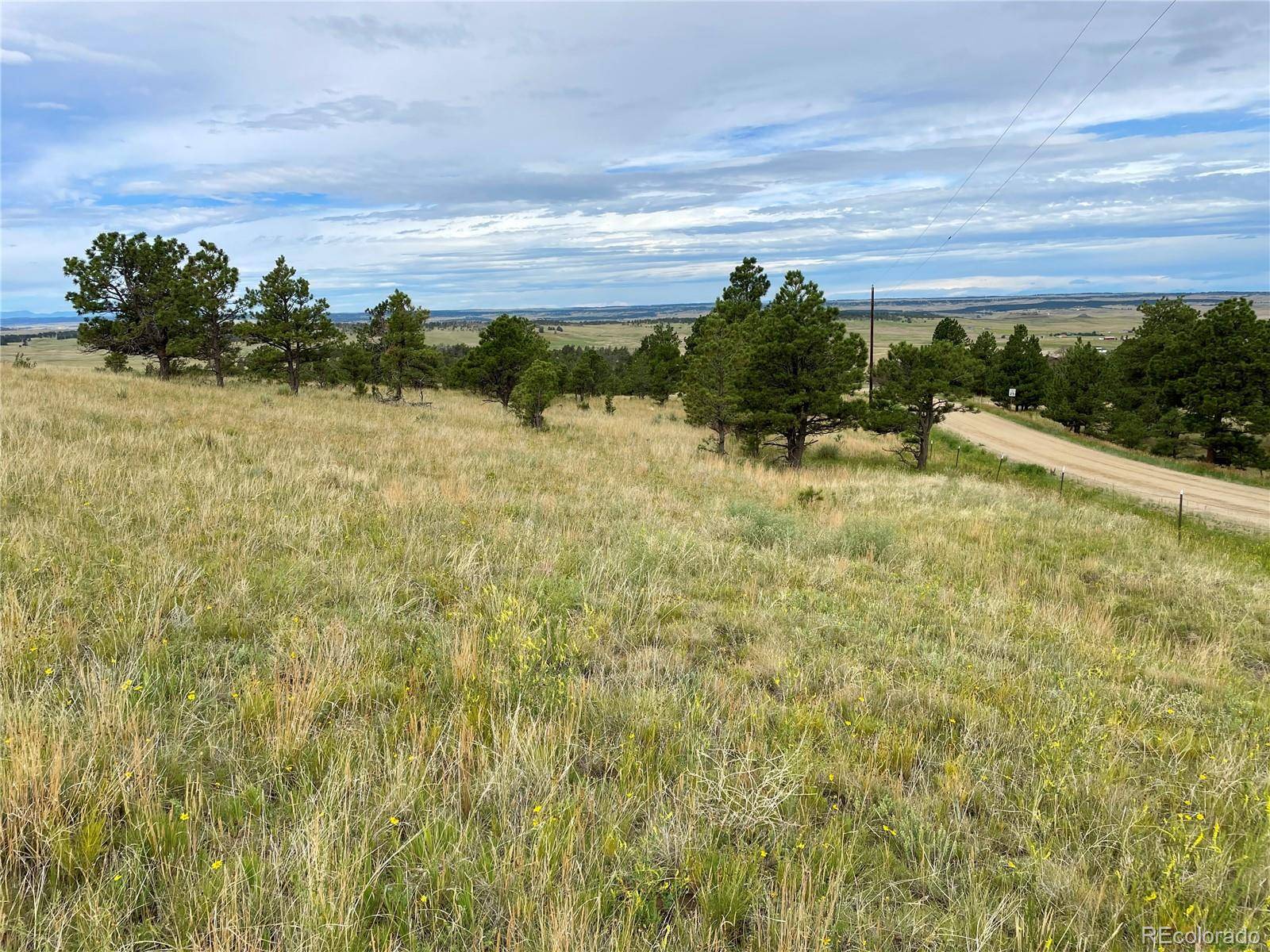 Ramah, CO 80832,32011 Cattle Circle