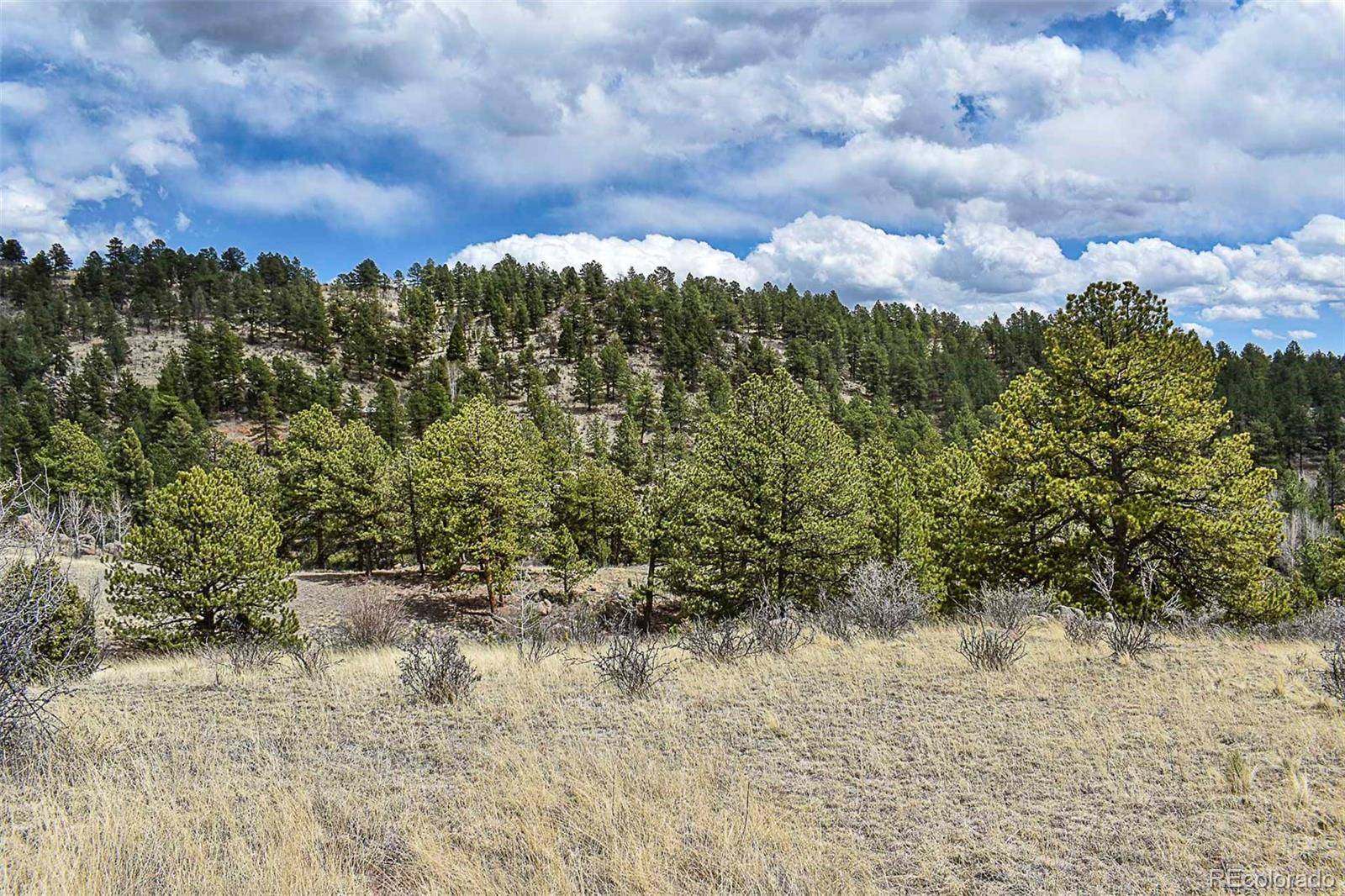 Florissant, CO 80816,1077 Canyon DR