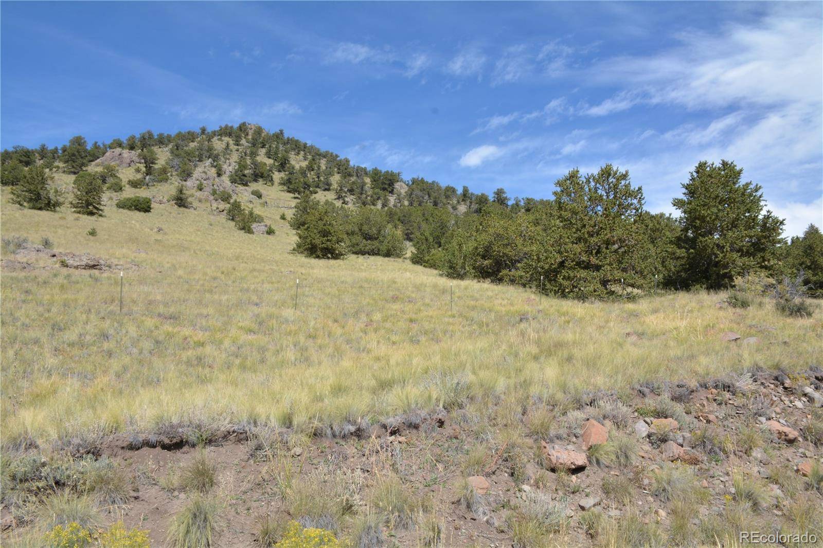 Guffey, CO 80820,Lot 47 Saddle Mountain PASS