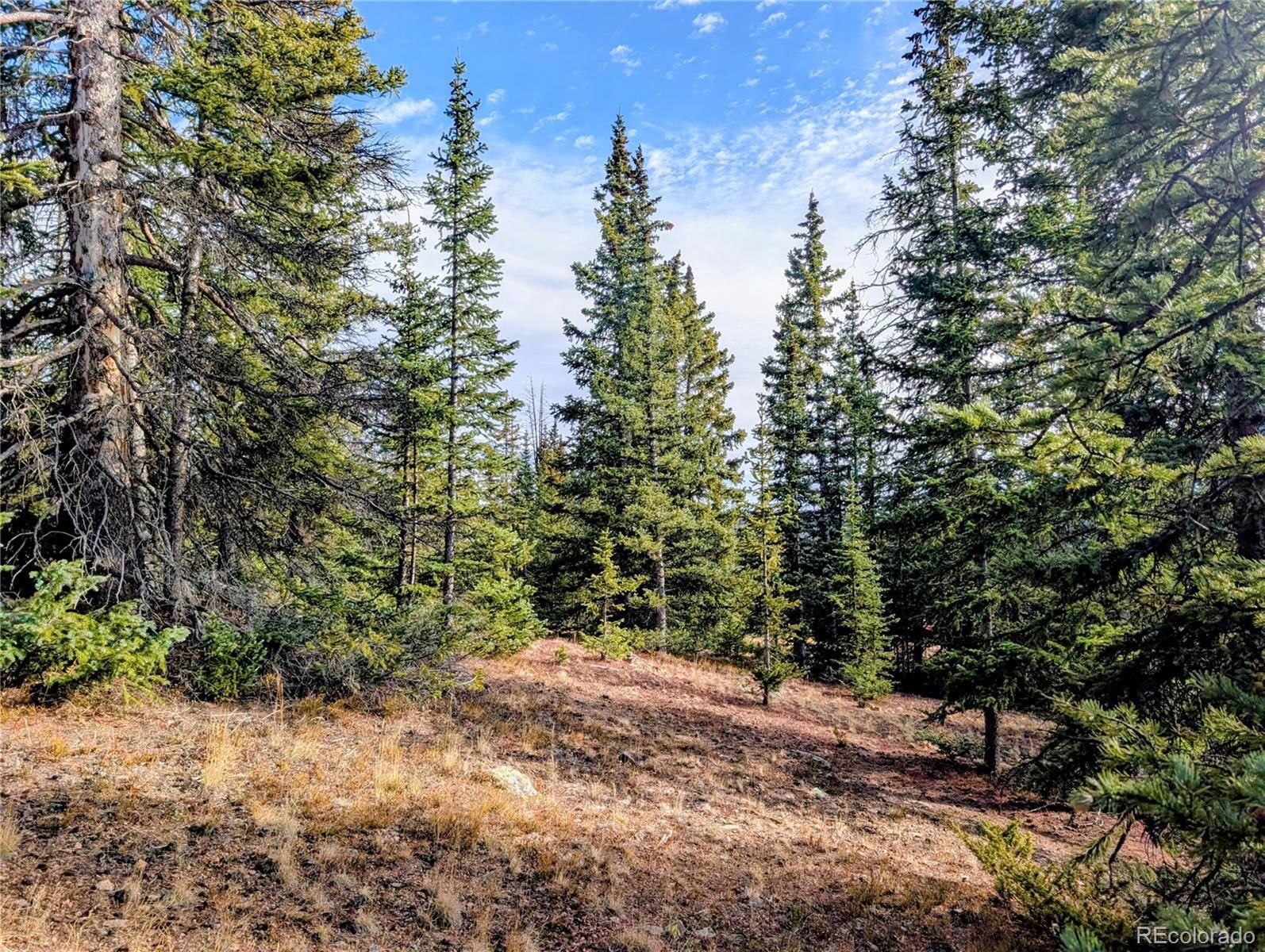 Fort Garland, CO 81133,48 Acres Forbes RD