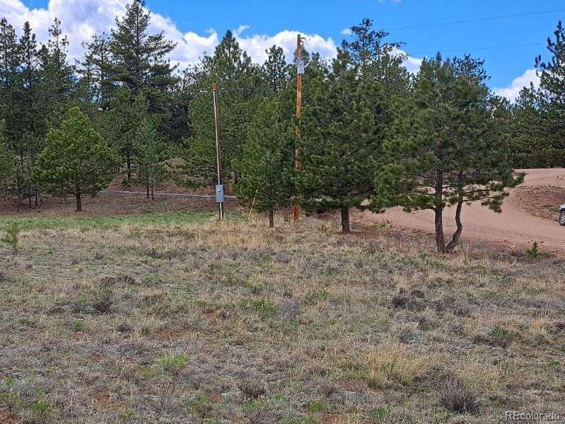 Hartsel, CO 80449,265 Haystack RD