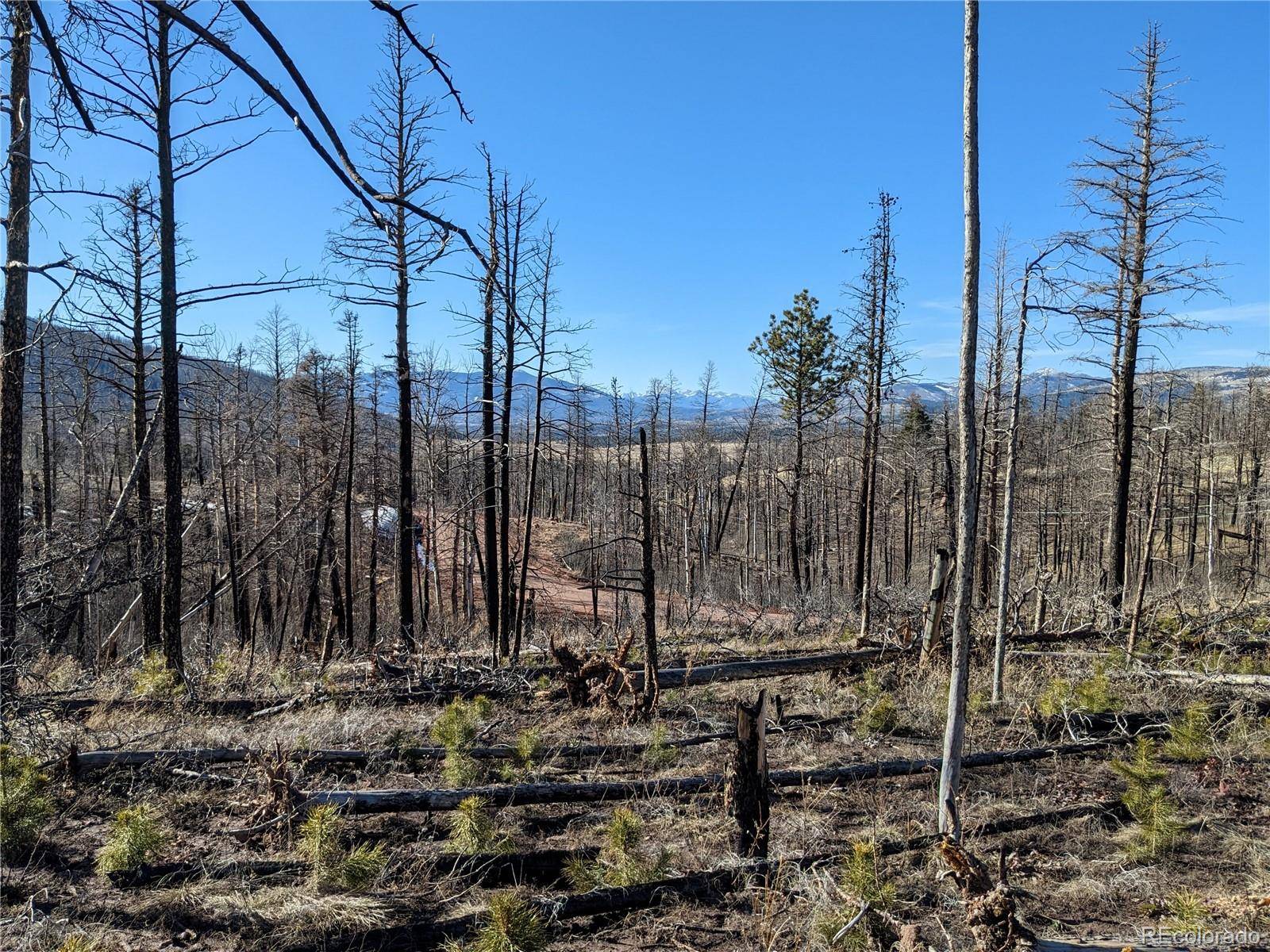 Fort Garland, CO 81133,913 Forbes Park RD