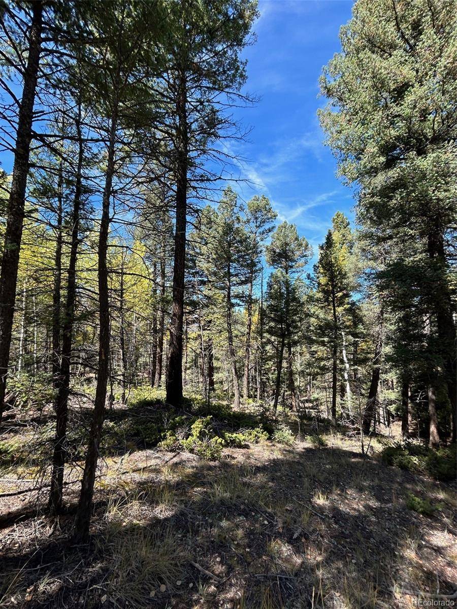 Florissant, CO 80816,643 Pinewood RD