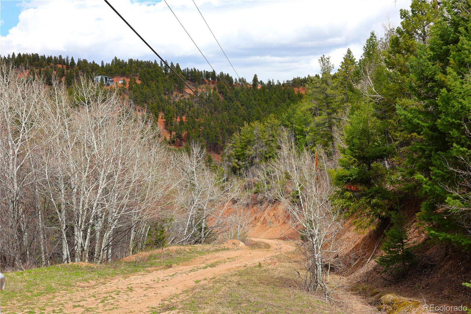 Larkspur, CO 80118,13511 S Firedog WAY