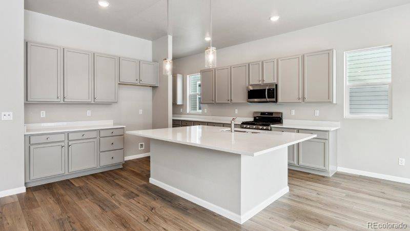 Mead, CO 80542,16850 Mckay DR