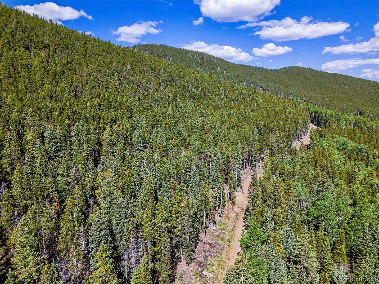 Idaho Springs, CO 80452,00 Valley View DR