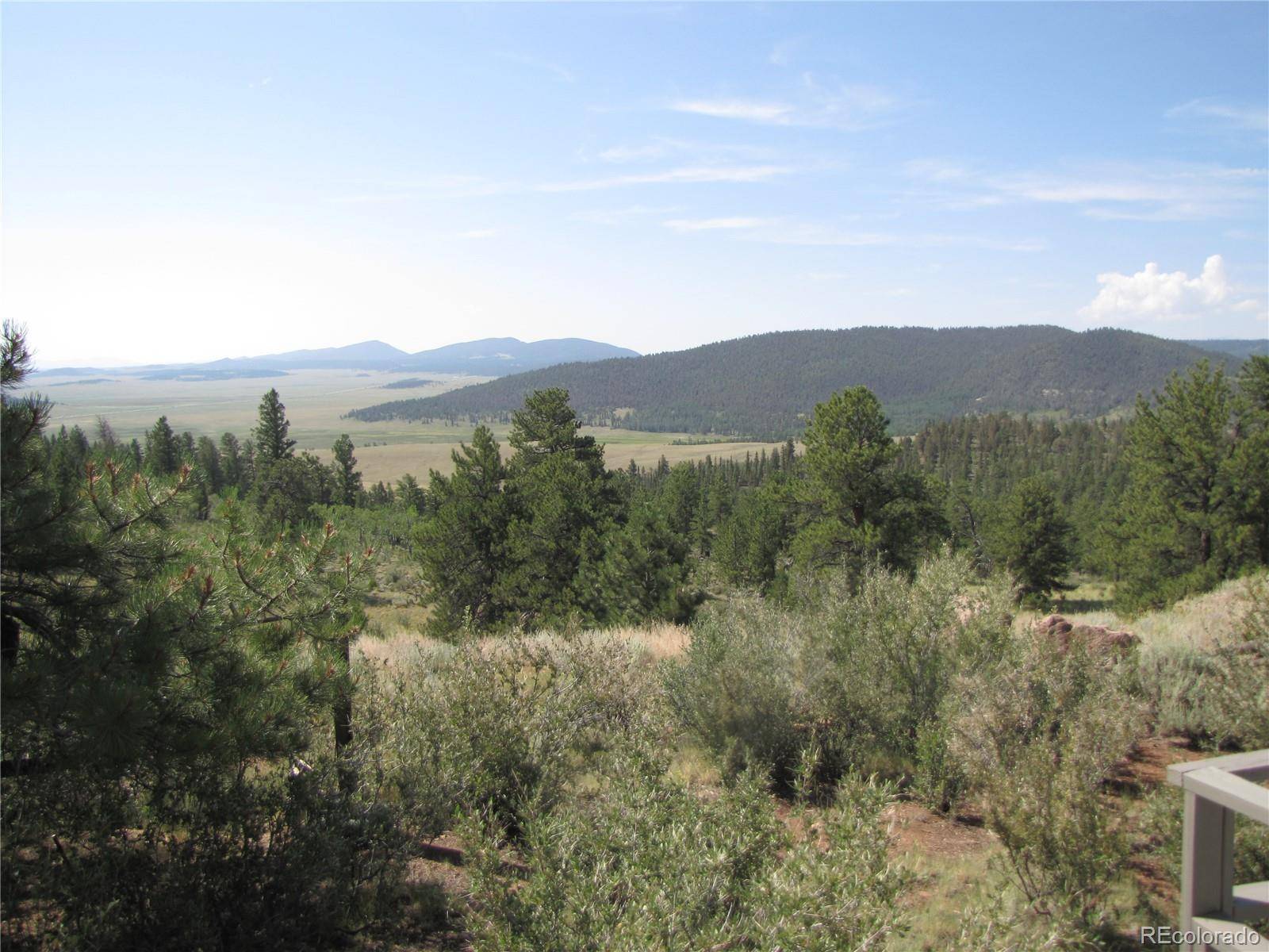 Hartsel, CO 80449,169 & 181 Lantern LOOP