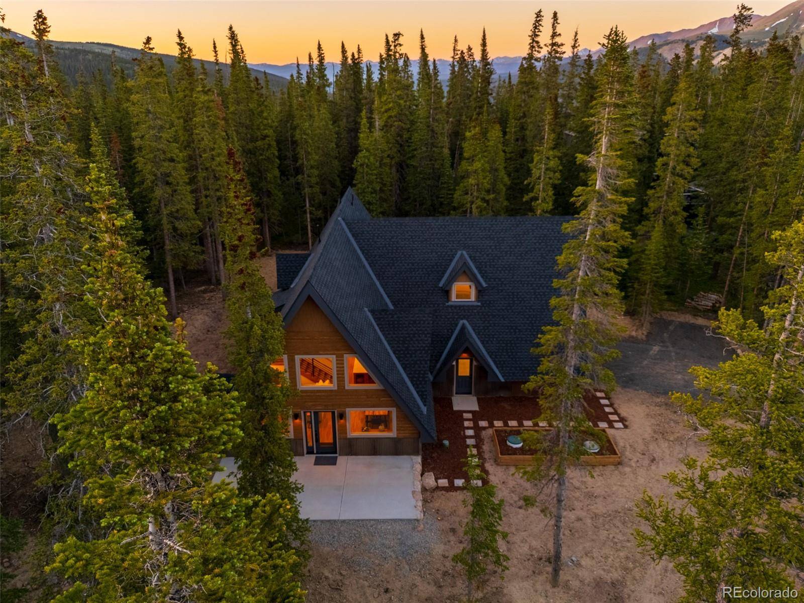 Breckenridge, CO 80424,297 Robertson LN
