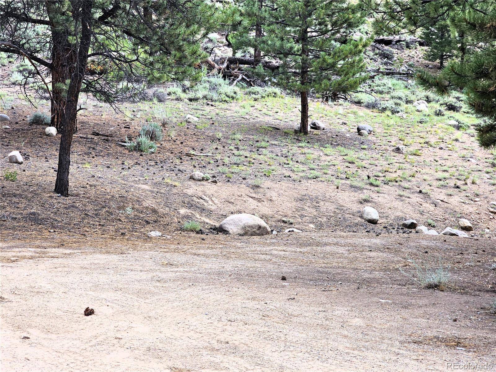 Twin Lakes, CO 81251,368 Parry Peak DR