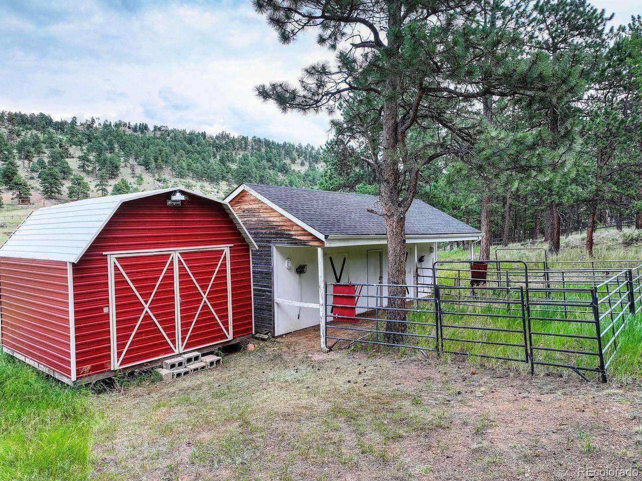 Bailey, CO 80421,1539 Bluebird DR