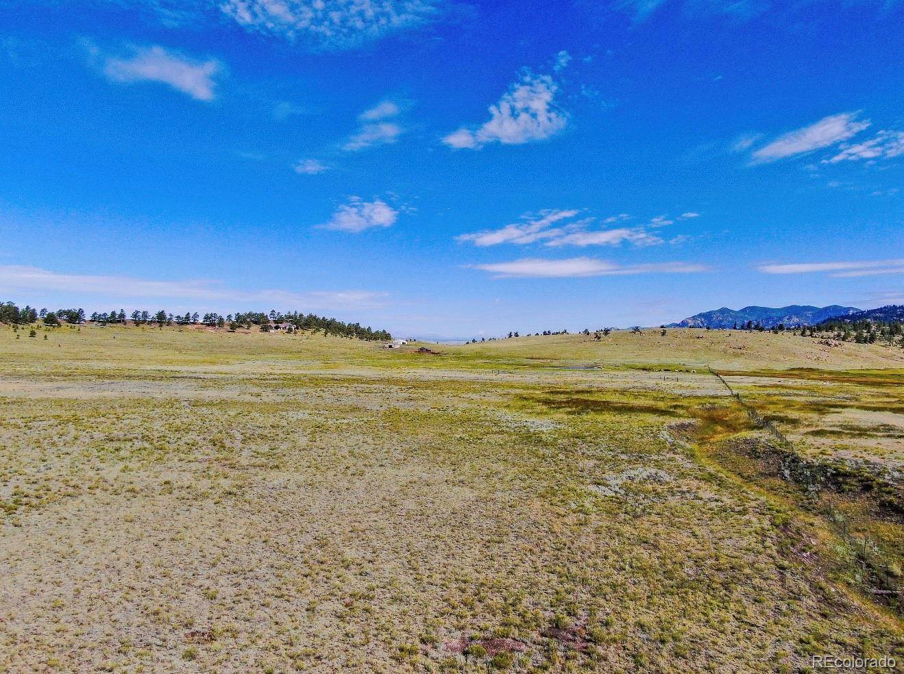 Florissant, CO 80816,281 Cr-98