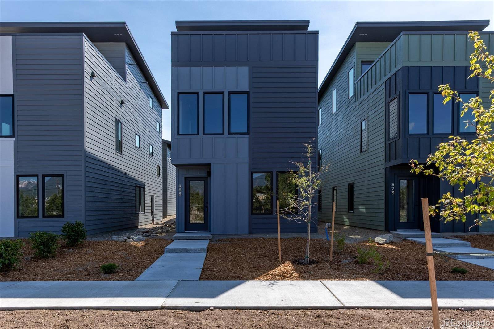 Buena Vista, CO 81211,585 N Railroad ST