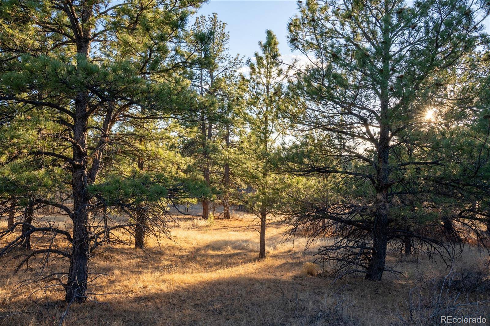 Parker, CO 80134,10421 Remmick Ridge RD