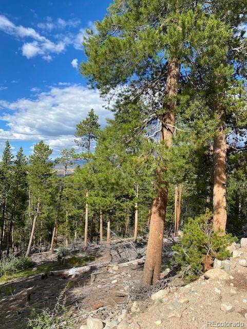 Twin Lakes, CO 81251,1259 Sequoia DR