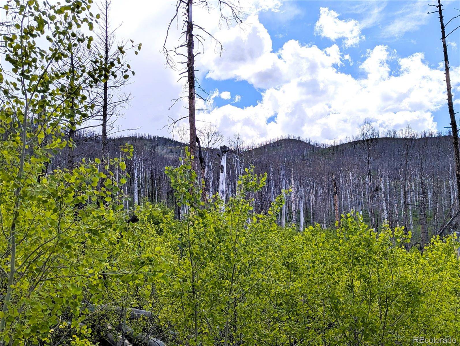 Fort Garland, CO 81133,1960 Hilda LN