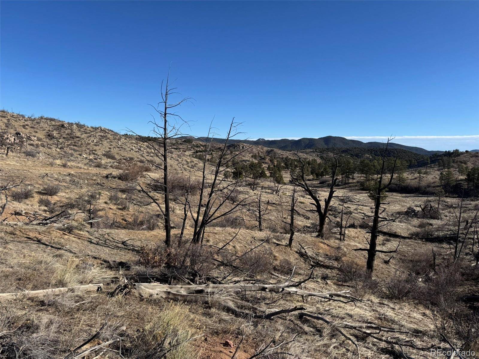 Cotopaxi, CO 81223,F Path and 37th TRL