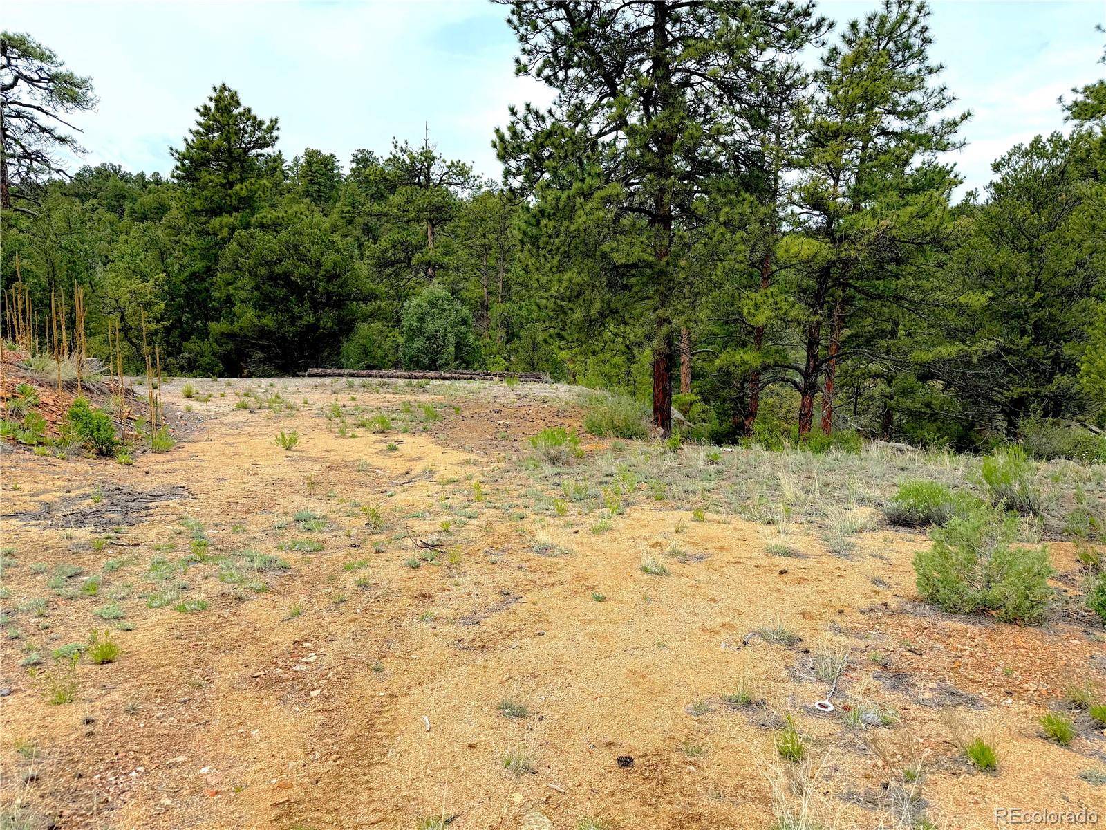 Cotopaxi, CO 81223,TBD County Road 28