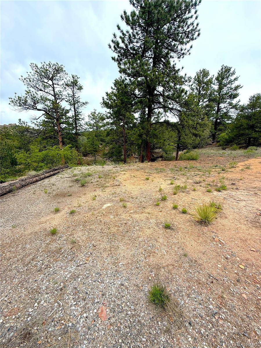 Cotopaxi, CO 81223,TBD County Road 28
