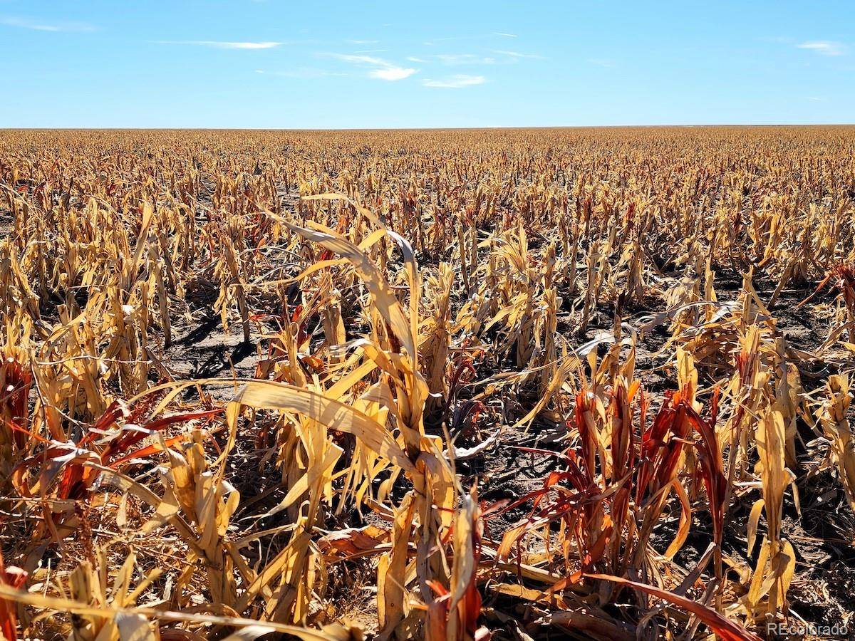 Walsh, CO 81090,TBD County Rd