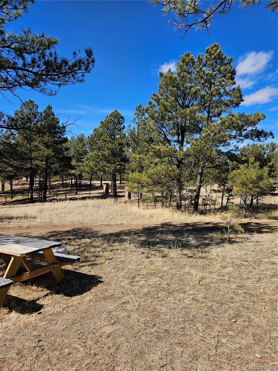 Deer Trail, CO 80105,23380 Jasper TRL