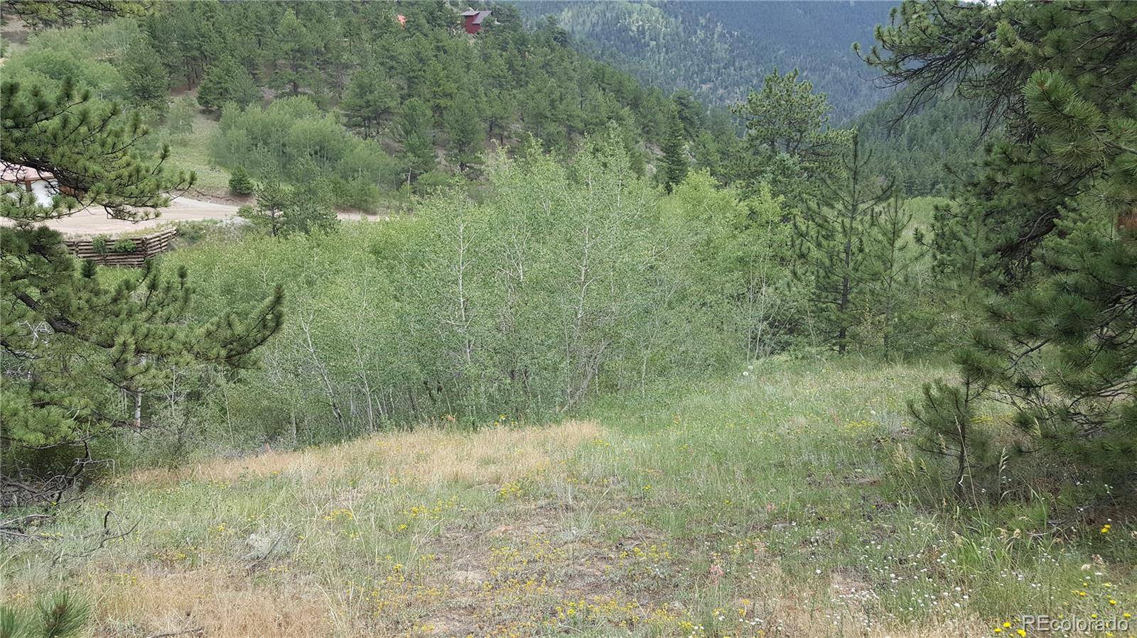 Central City, CO 80427,000 Eureka Lot 35 ST