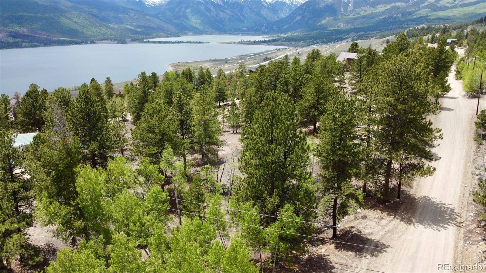 Twin Lakes, CO 81251,142 La Plata Peak DR