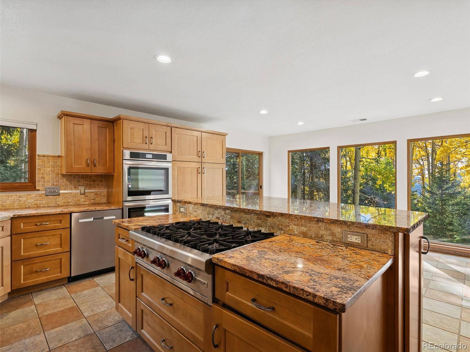 Evergreen, CO 80439,95 Meadowlark DR