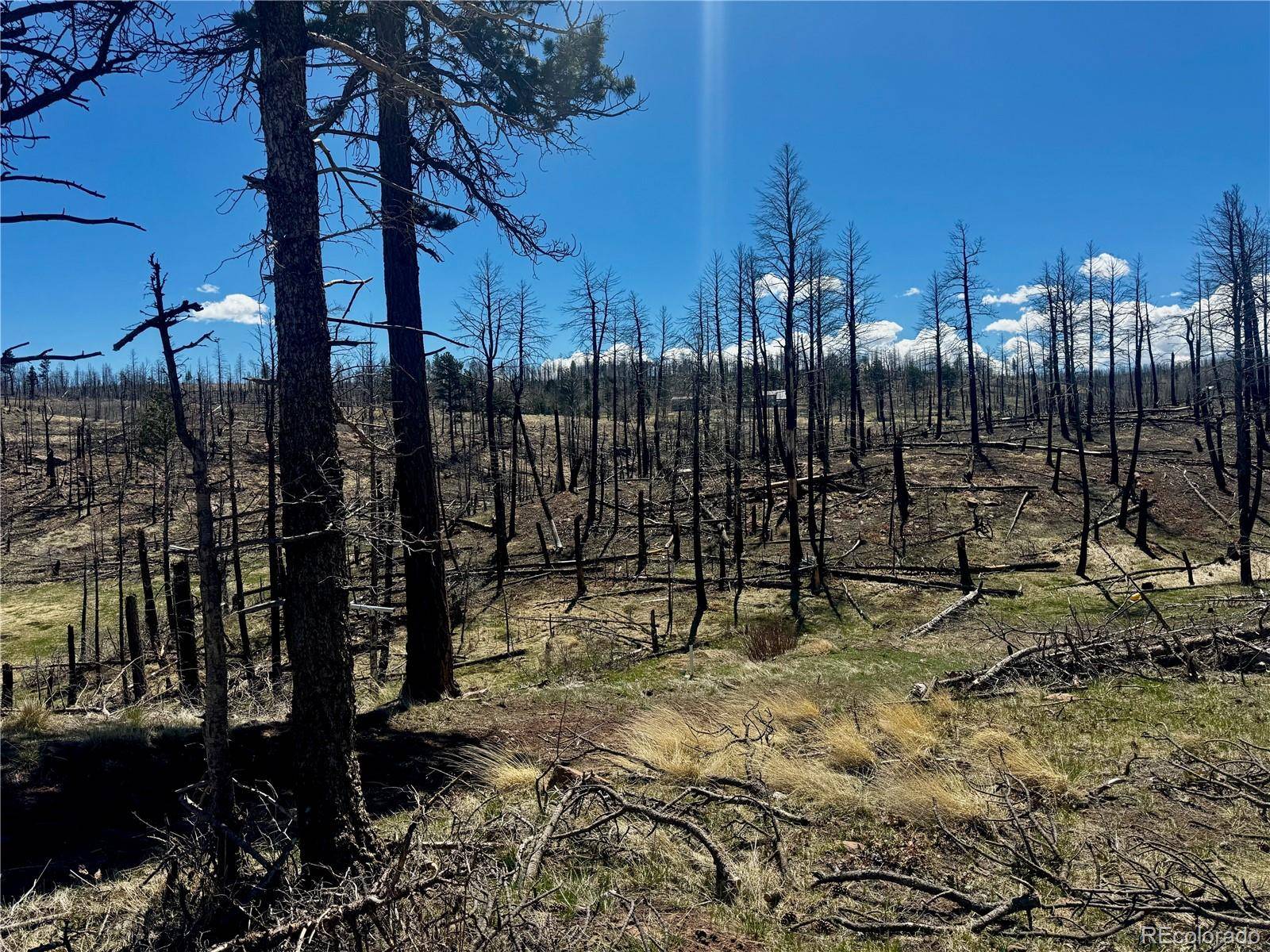 Fort Garland, CO 81133,lot 1005 Foy PL