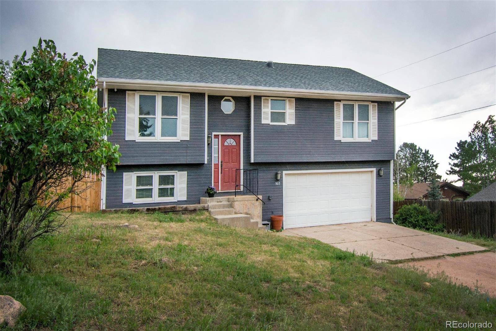 Palmer Lake, CO 80133,103 Aurelia ST
