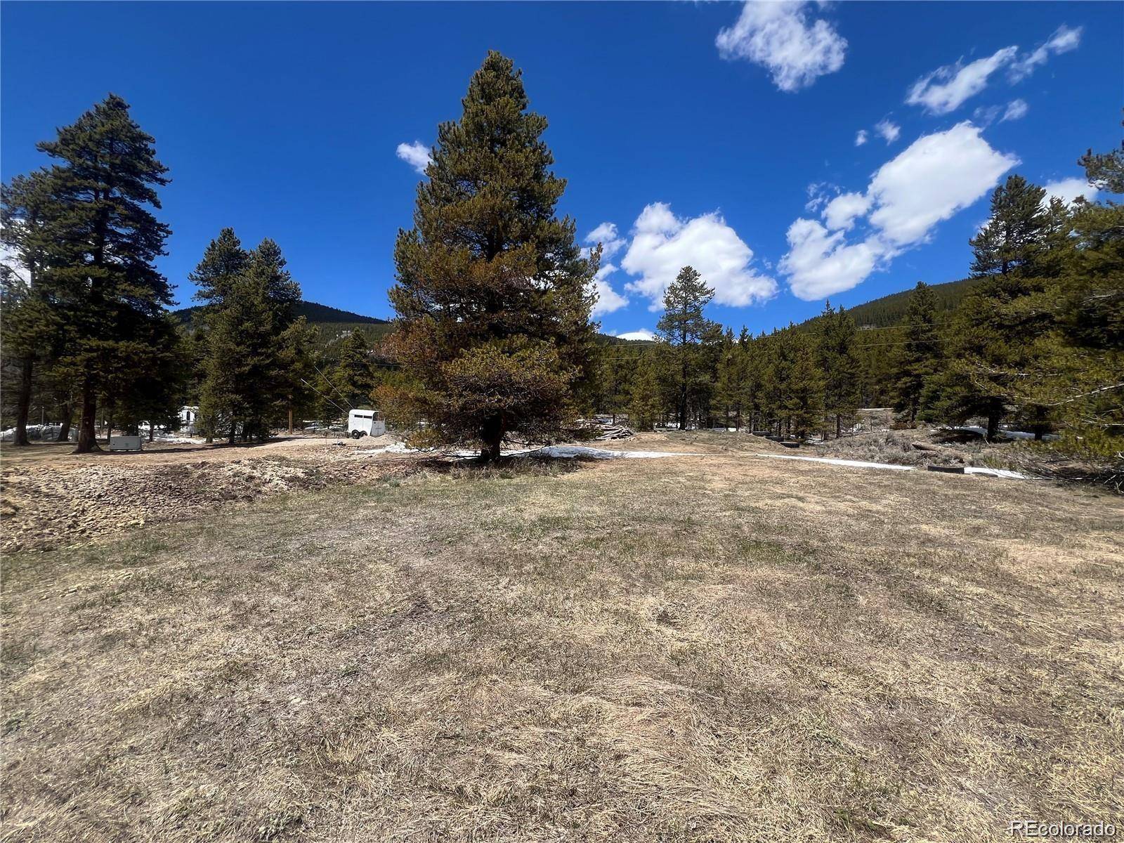 Leadville, CO 80461,4406 Highway 91