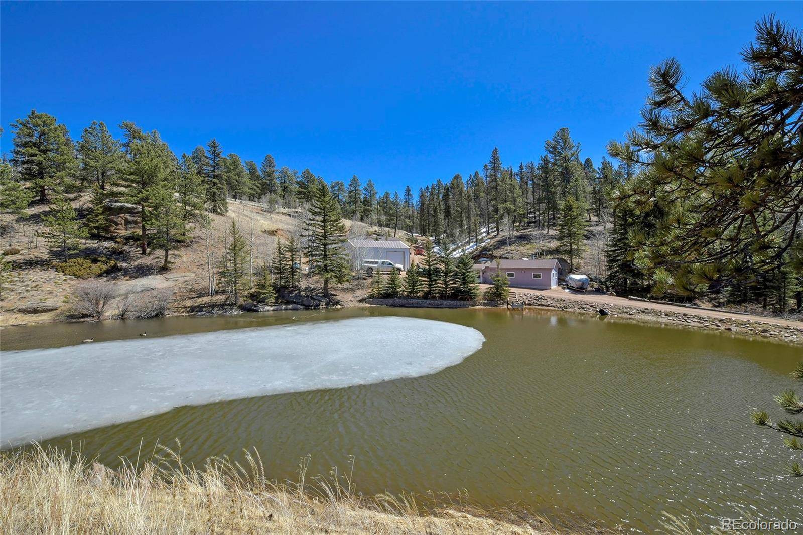 Florissant, CO 80816,854 W Bison Creek TRL