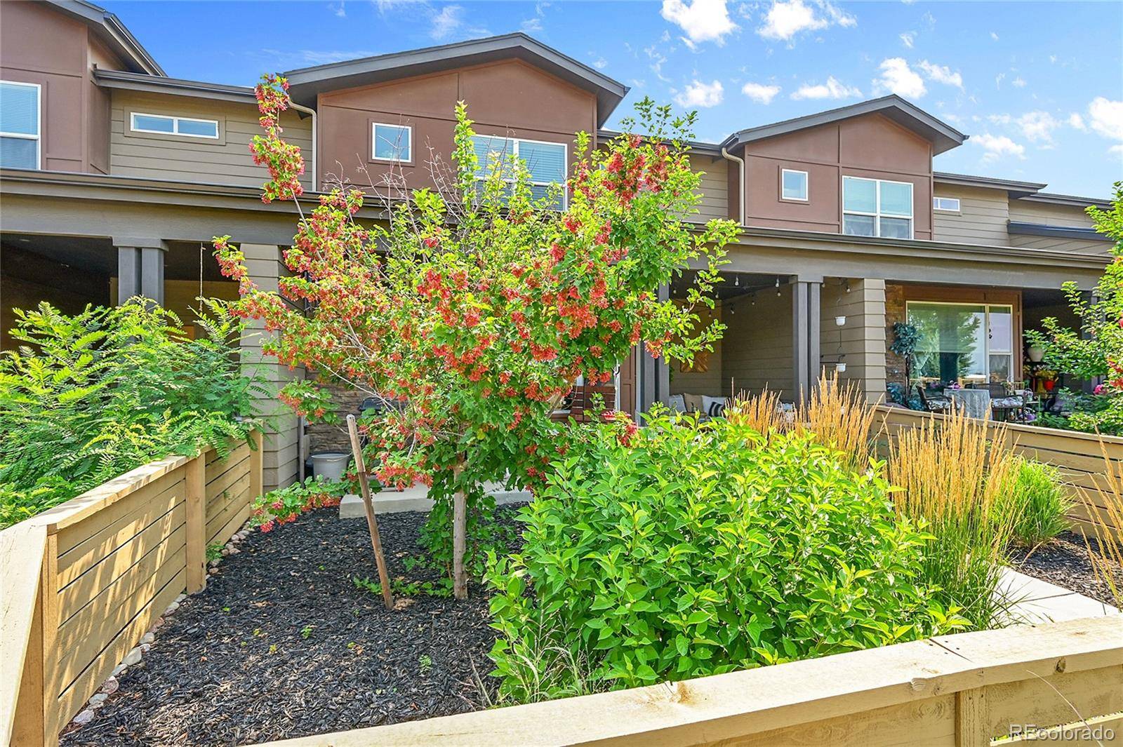 Fort Collins, CO 80524,326 Skyraider WAY #3