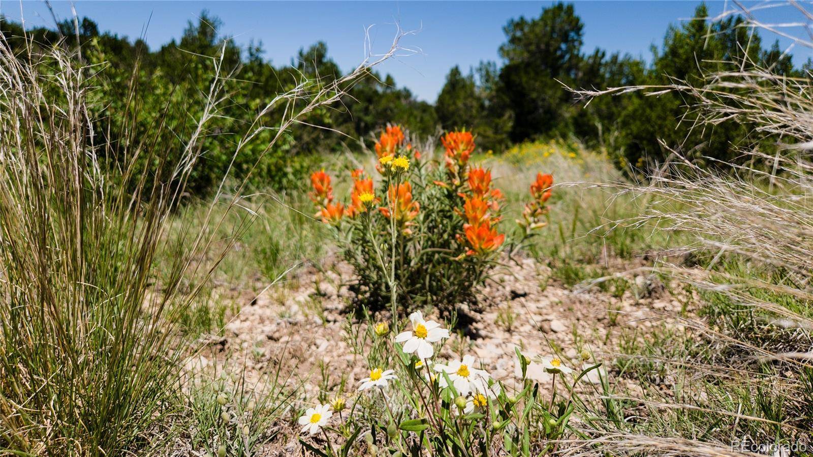 Pueblo, CO 81005,Soda Creek RD