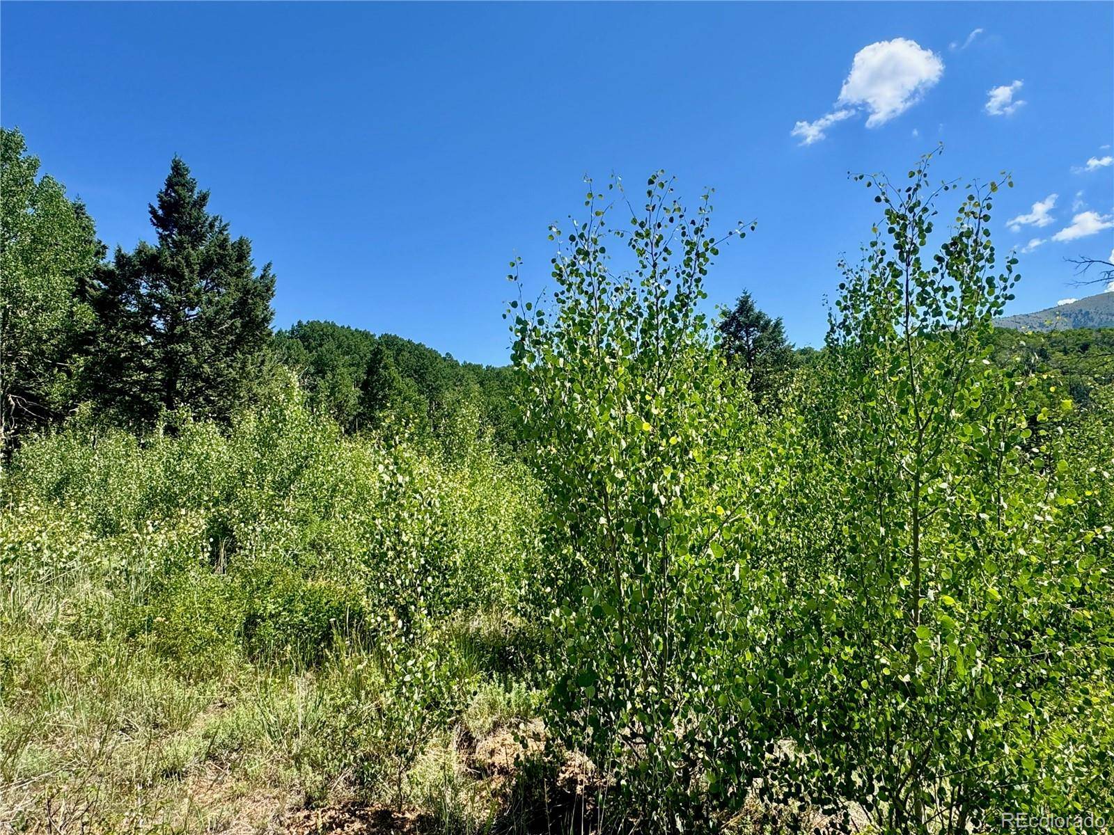 Fort Garland, CO 81152,Lot 5850 Richardson RD