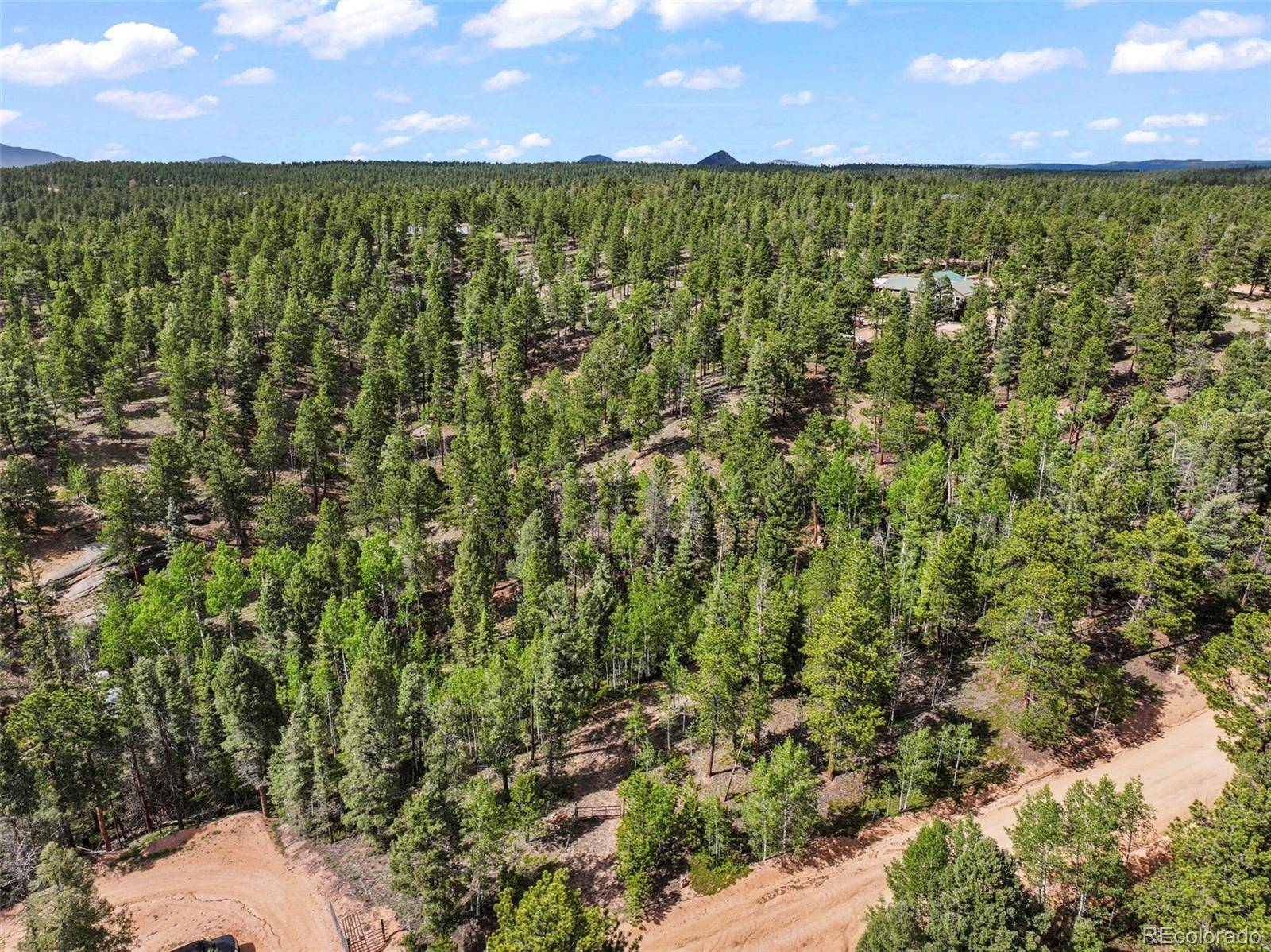 Divide, CO 80814,65 Spruce Creek RD