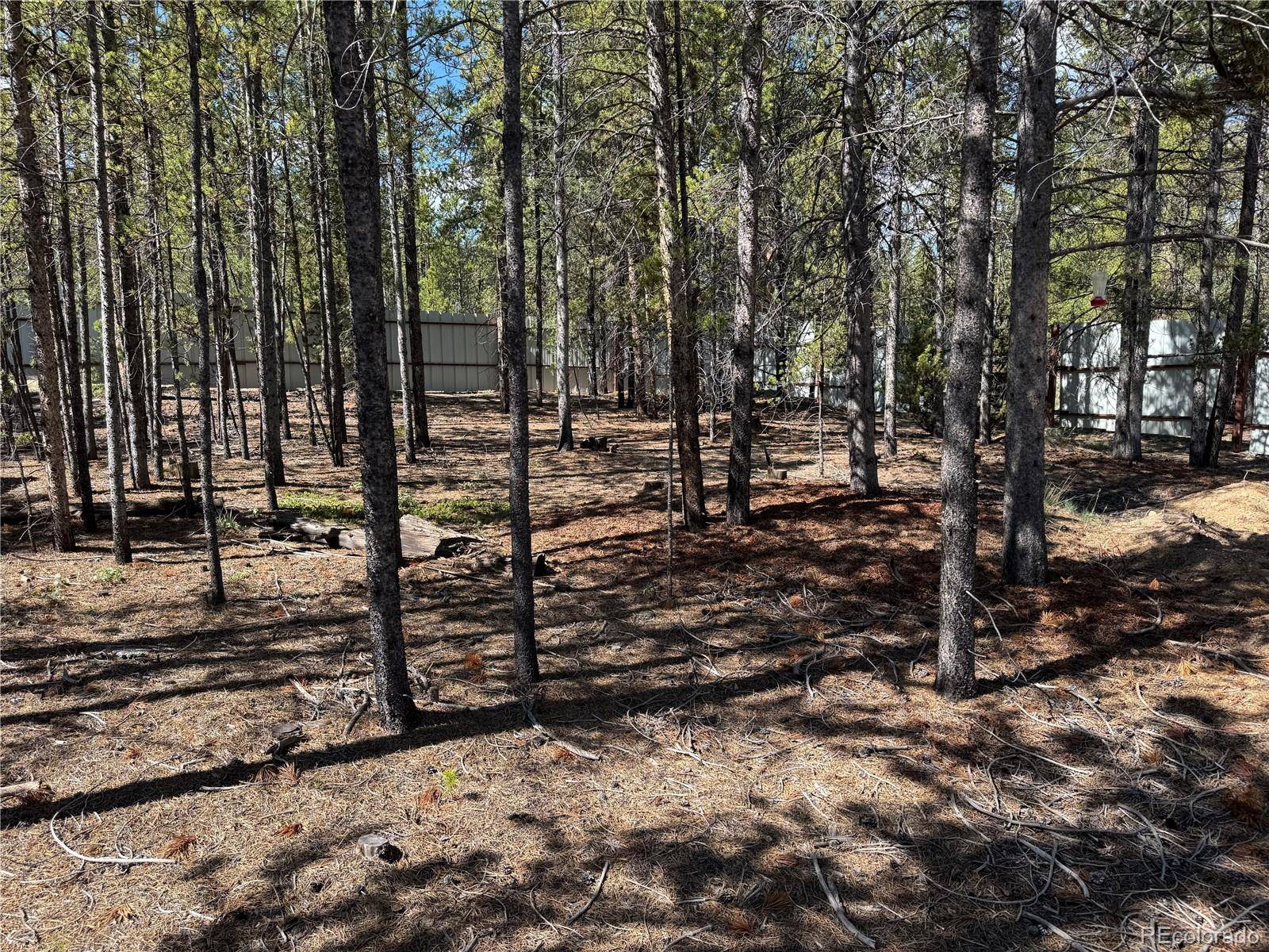 Leadville, CO 80461,379 Spruce DR