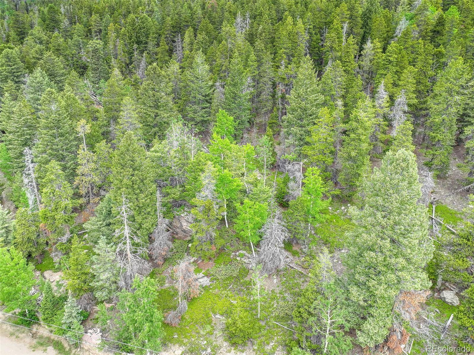 Evergreen, CO 80439,102 (Lot 35) Lodgepole DR