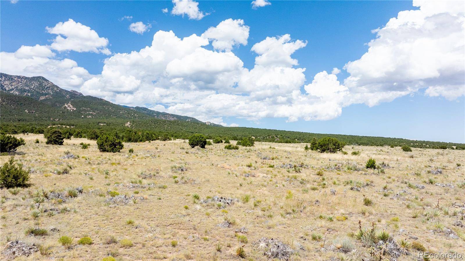 Rye, CO 81069,LOT 150 651 Ct Rd