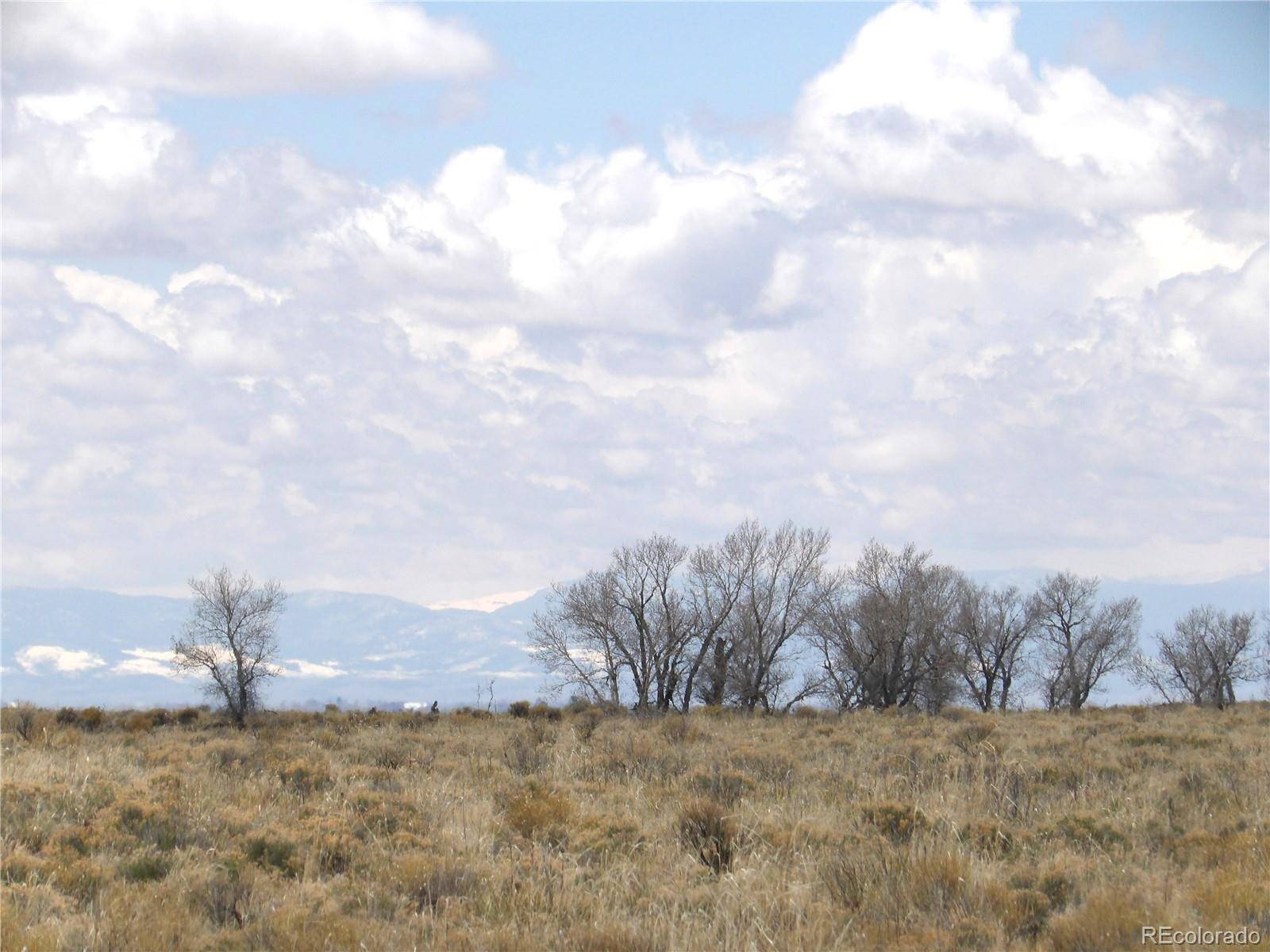 Crestone, CO 81131,558 Cottonwood Creek RD