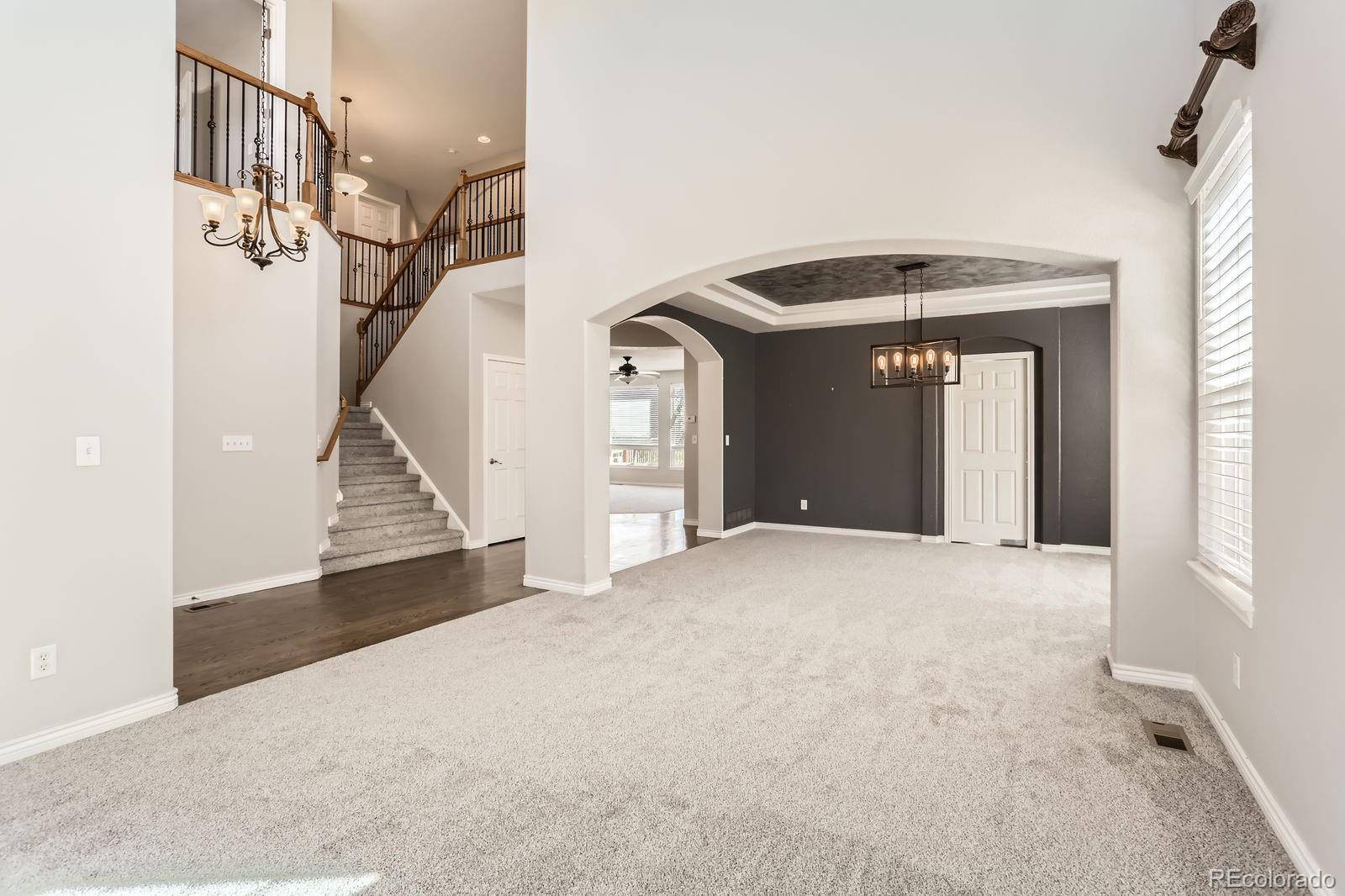 Castle Rock, CO 80108,1905 Graphite CT