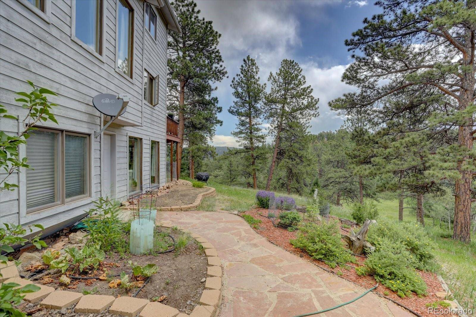 Pine, CO 80470,13662 Douglas Ranch DR