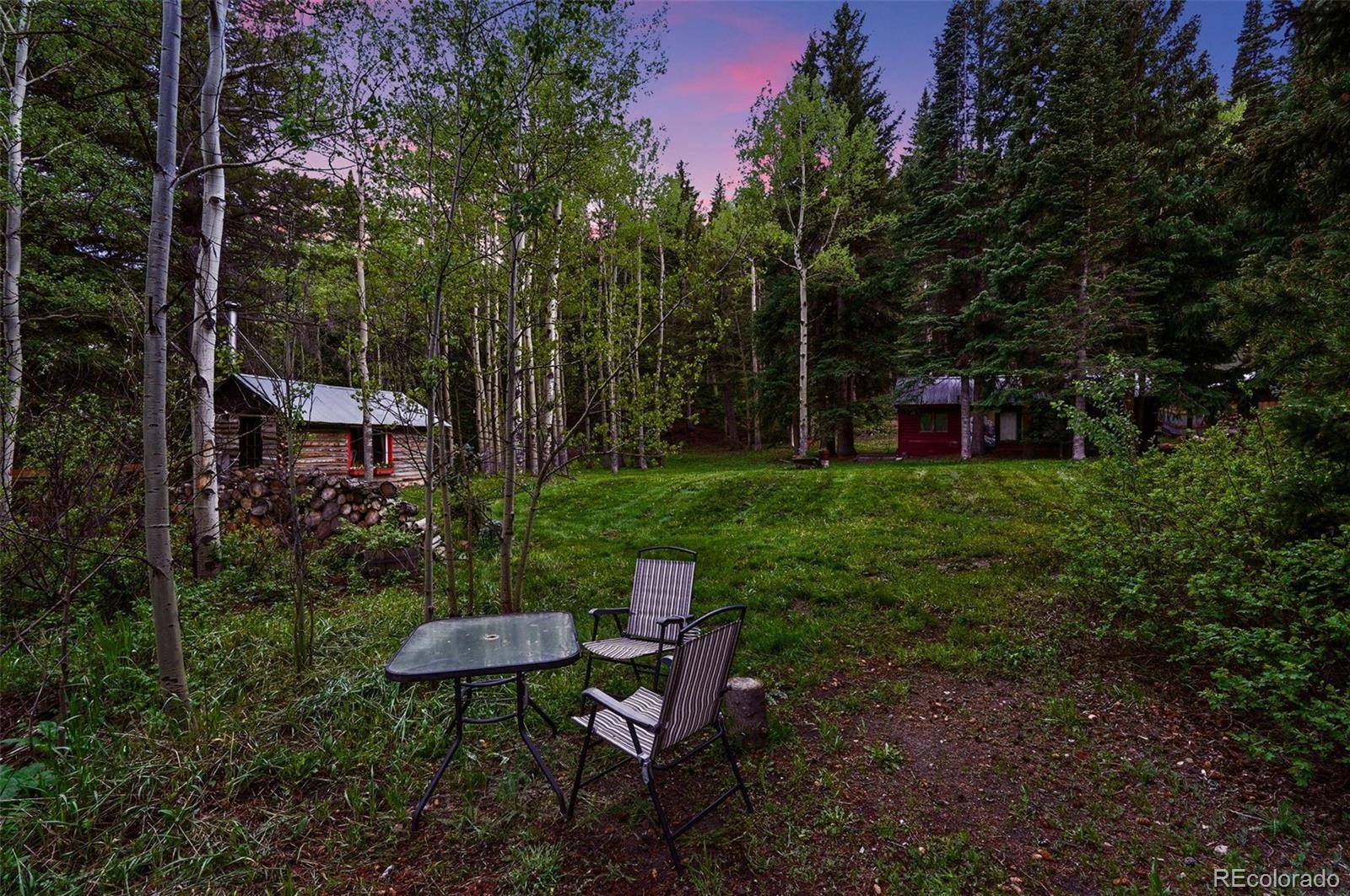 Nederland, CO 80466,1632 Caribou RD