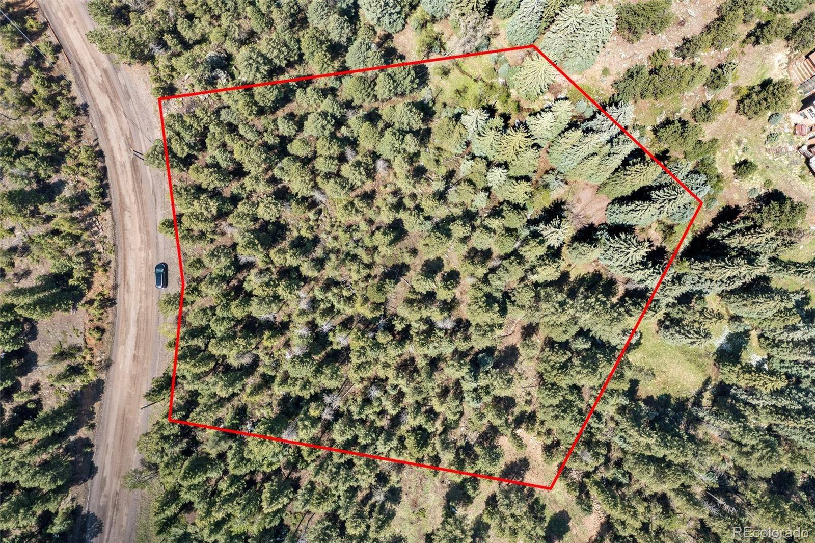 Evergreen, CO 80439,6448 Elaine RD