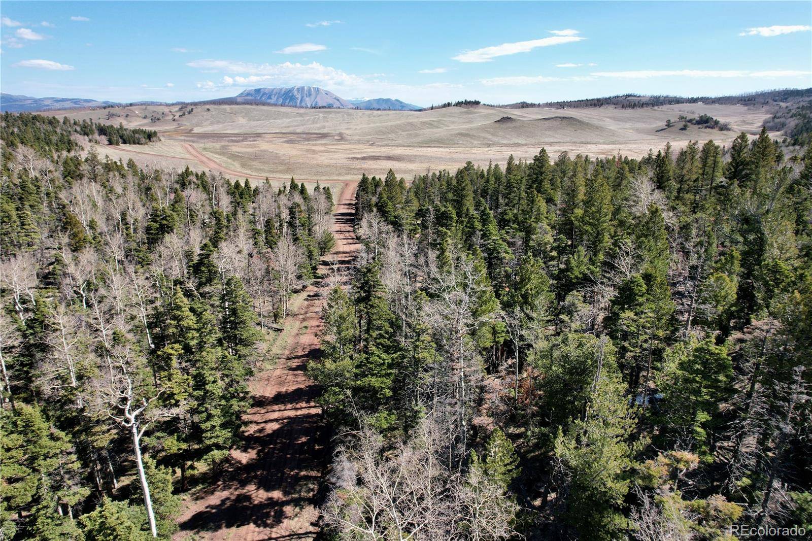 Fort Garland, CO 81133,2966 Kemper LOOP
