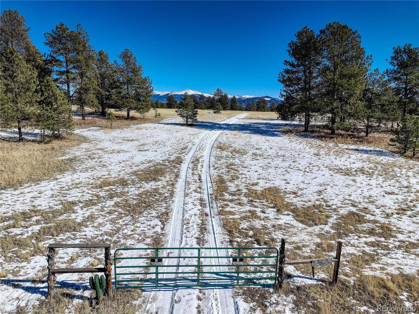 Guffey, CO 80820,Tr 101-B1 Ring RD